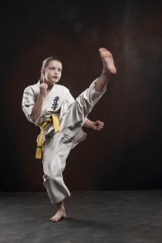 Hinomoto HSE- Kyokushin Karate Vác