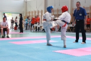 vacratot-kupa-2015-04-25-hinomoto-kyokushin-karate-vac_9162