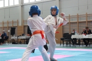 vacratot-kupa-2015-04-25-hinomoto-kyokushin-karate-vac_9186