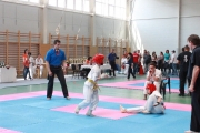vacratot-kupa-2015-04-25-hinomoto-kyokushin-karate-vac_9200