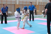 vacratot-kupa-2015-04-25-hinomoto-kyokushin-karate-vac_9204