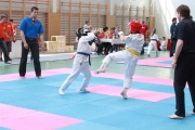 vacratot-kupa-2015-04-25-hinomoto-kyokushin-karate-vac_9210