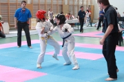 vacratot-kupa-2015-04-25-hinomoto-kyokushin-karate-vac_9214