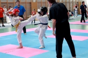 vacratot-kupa-2015-04-25-hinomoto-kyokushin-karate-vac_9215