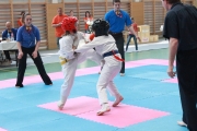 vacratot-kupa-2015-04-25-hinomoto-kyokushin-karate-vac_9216
