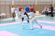 vacratot-kupa-2015-04-25-hinomoto-kyokushin-karate-vac_9240