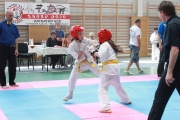 vacratot-kupa-2015-04-25-hinomoto-kyokushin-karate-vac_9241