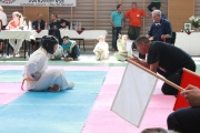 vacratot-kupa-2015-04-25-hinomoto-kyokushin-karate-vac_9250