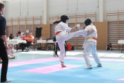 vacratot-kupa-2015-04-25-hinomoto-kyokushin-karate-vac_9251